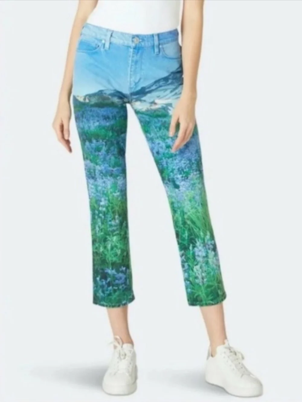 Hudson Barbara High Rise Straight Leg Cropped Jeans Mountain Landscape  Size 30 - Picture 10 of 10